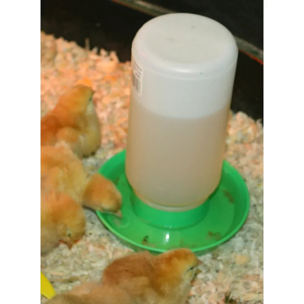 Screw-On Poultry Waterer Base for Quart Jar