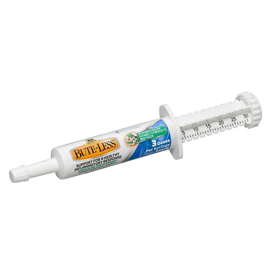 Bute-Less Paste - Houlihan Saddlery LLC