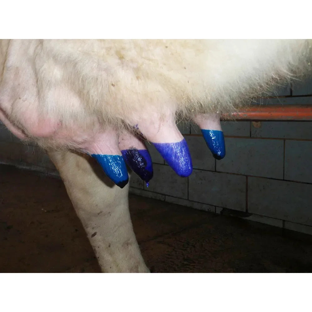 T-Hexx Dry External Teat Dip - udder care T-Hexx Animal Health Houlihan Saddlery LLC