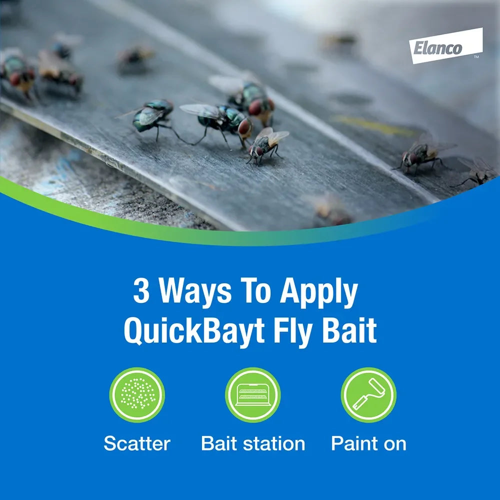 QuickBayt Fly Scatter Bait