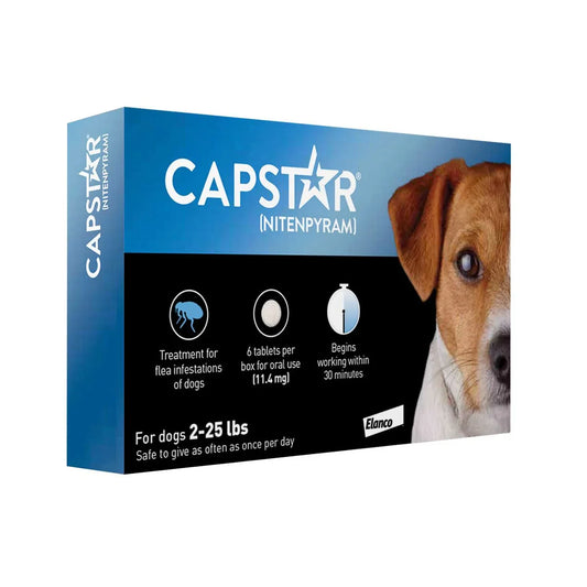 Capstar Flea Treatment for Dogs - Houlihan Saddlery LLC