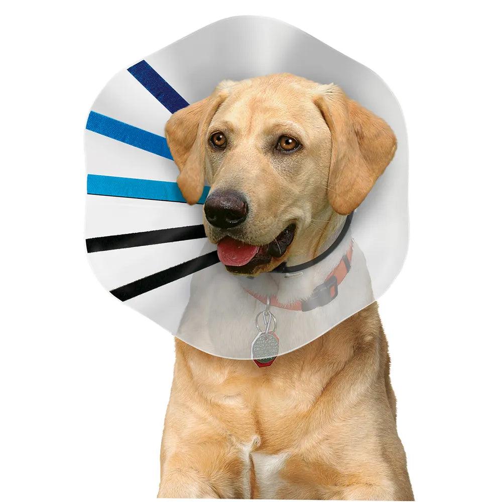 KONG EZ-Clear Pet Collar - Houlihan Saddlery LLC