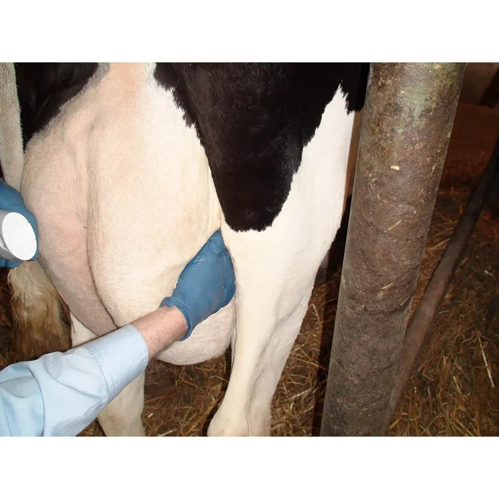 Udder Comfort Lotion