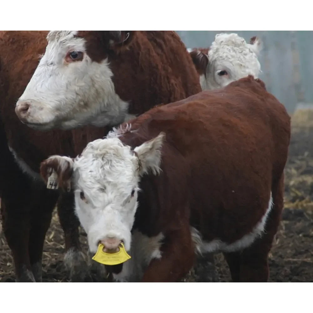 QuietWean Calf Weaner - calf weaner QuietWean Houlihan Saddlery LLC