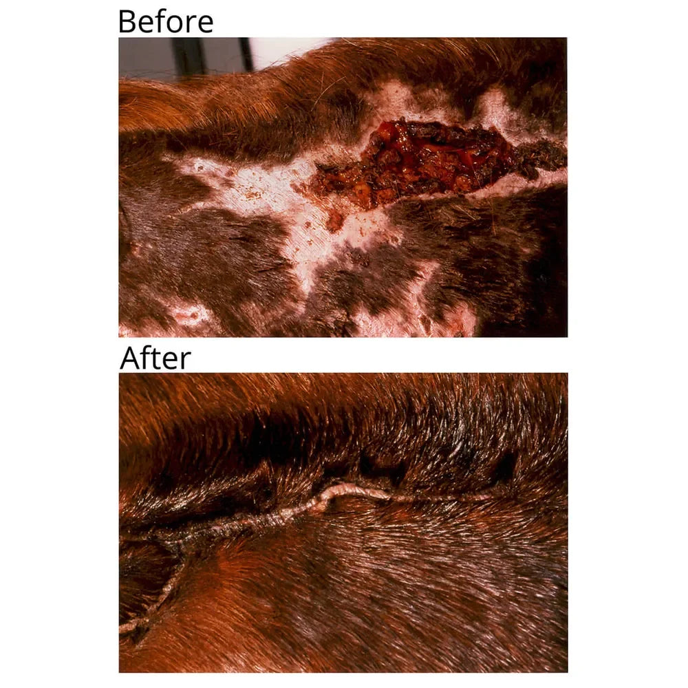 Banixx Horse & Pet Care Spray