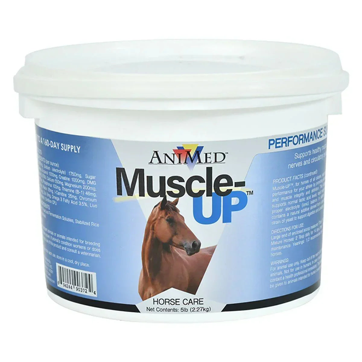 AniMed Muscle-UP - Horse Supplements AniMed Houlihan Saddlery LLC