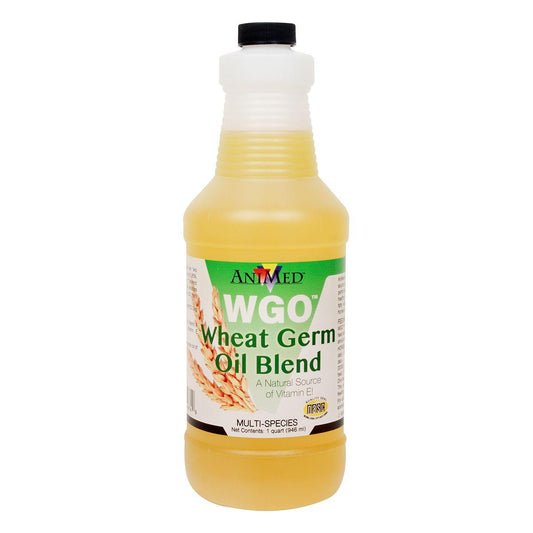 AniMed Wheat Germ Oil Blend - Houlihan Saddlery LLC