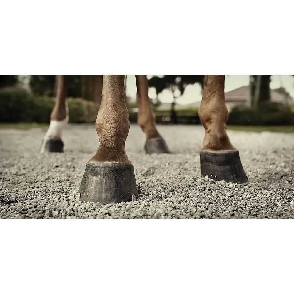 Hooflex Natural Hoof Dressing + Conditioner