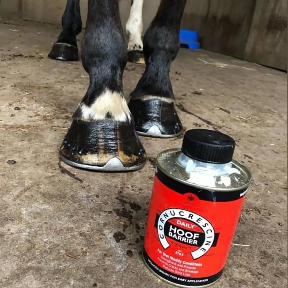 Cornucrescine Daily Hoof Barrier