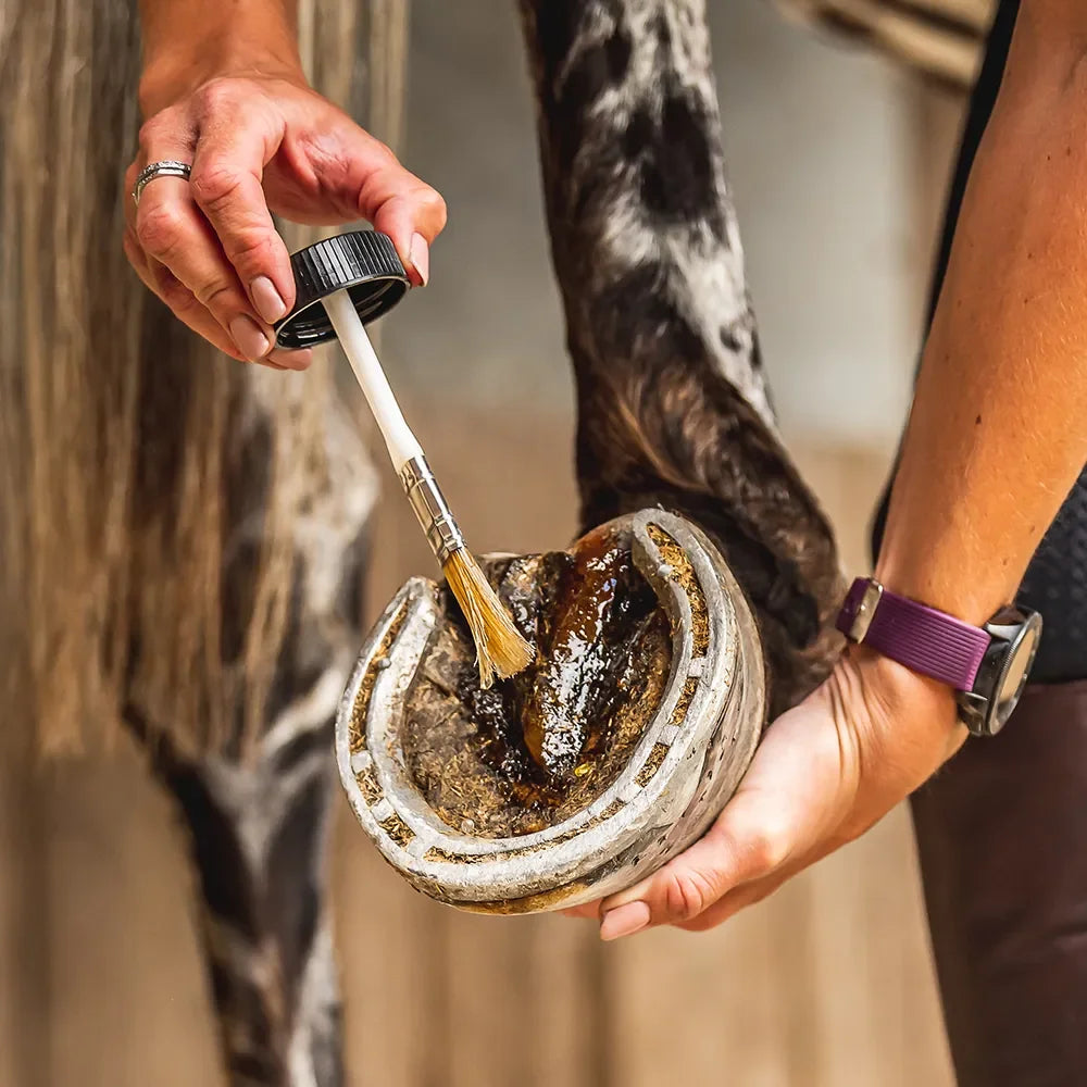 Cornucrescine Tea Tree Hoof Oil - Houlihan Saddlery LLC