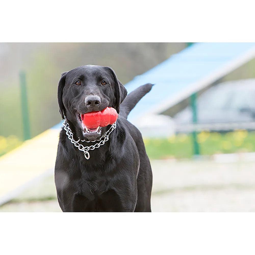 KONG Classic Dog Toy - Houlihan Saddlery LLC