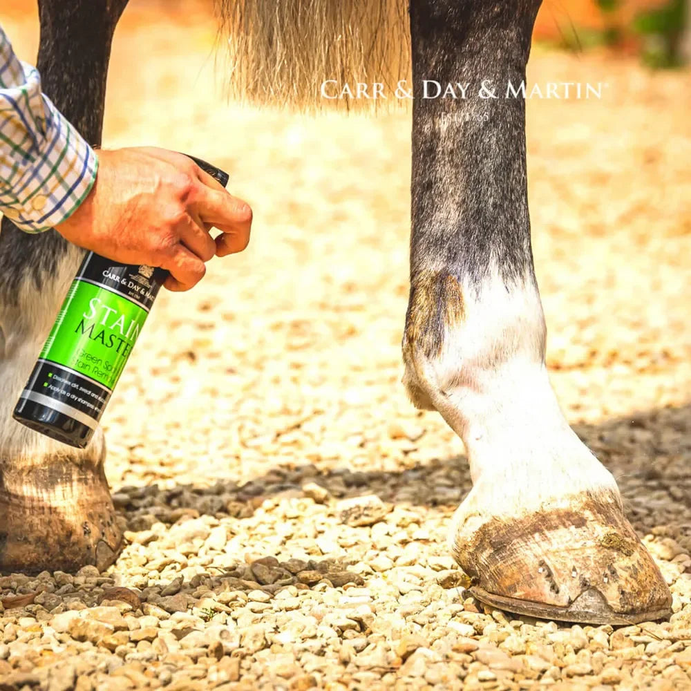 Stain Master Green Spot and Stain Remover