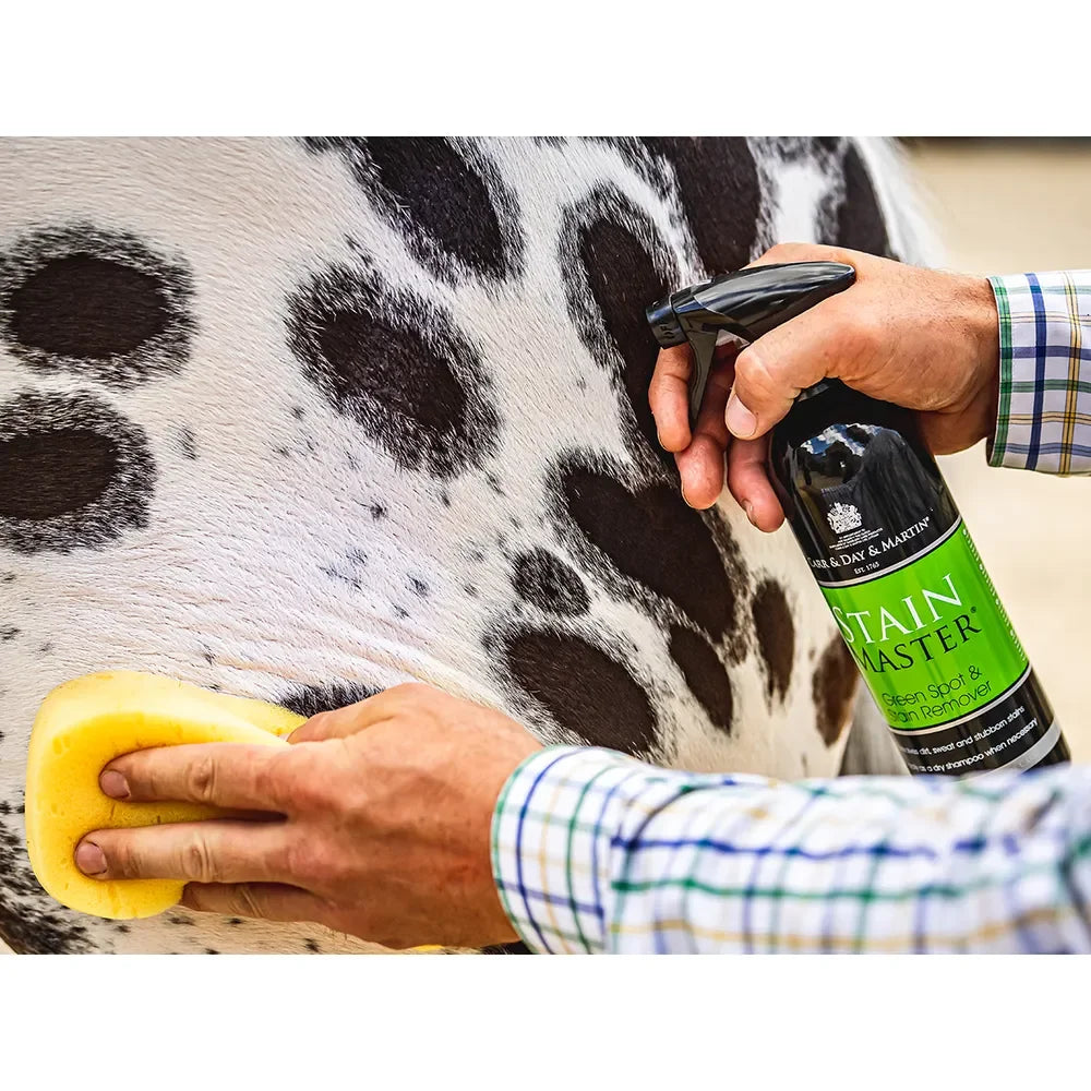 Stain Master Green Spot and Stain Remover