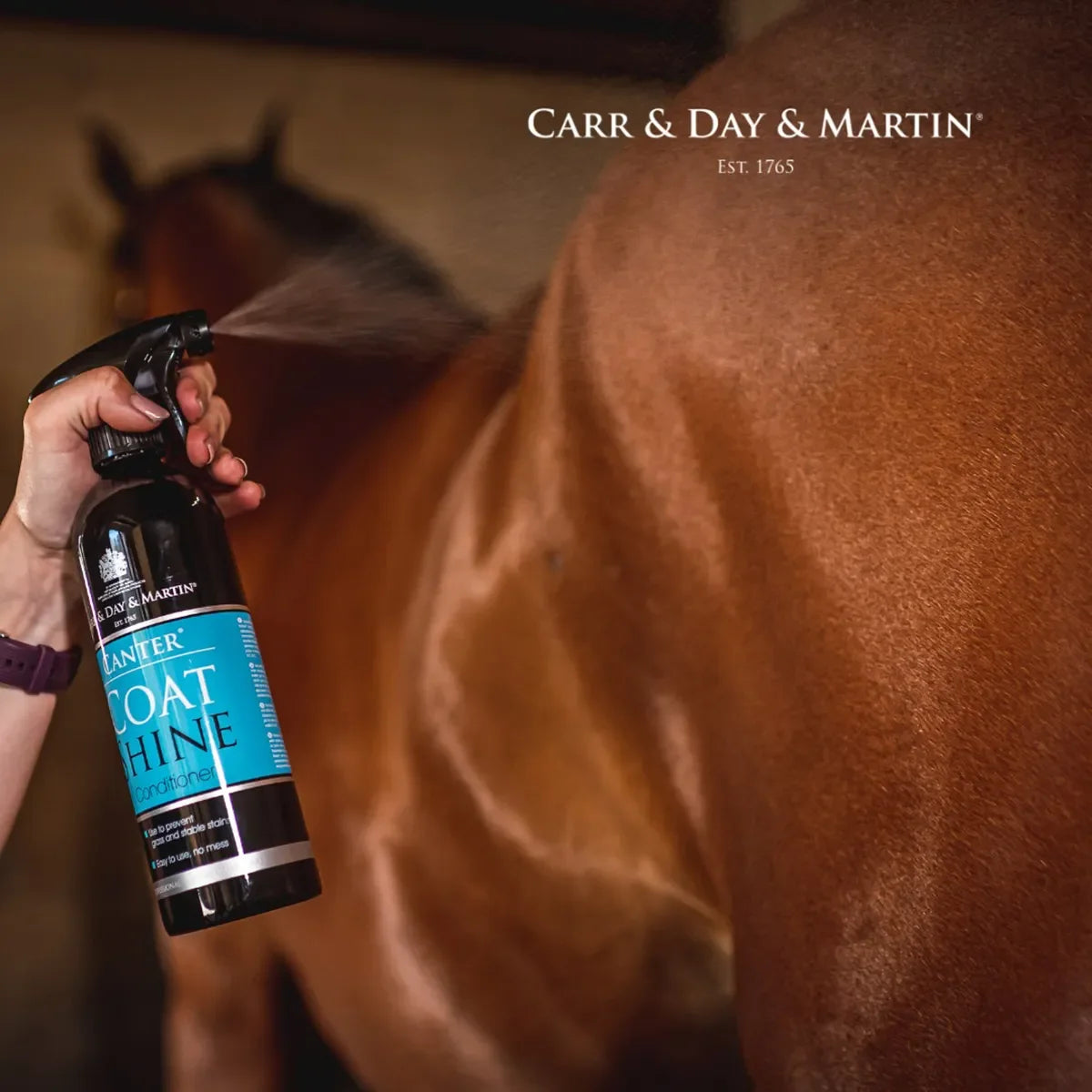 Canter Coat Shine Conditioner - Houlihan Saddlery LLC