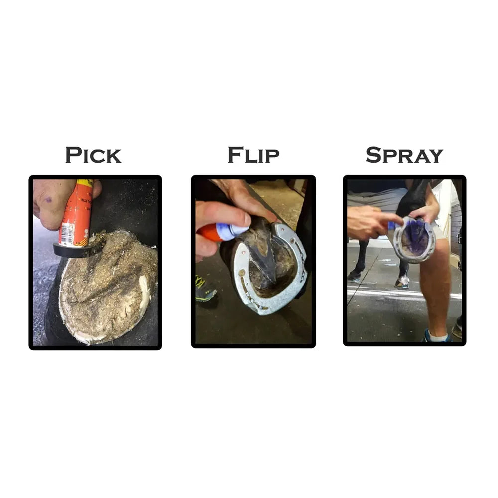 Groom's Hand Thrush Solution - Houlihan Saddlery LLC