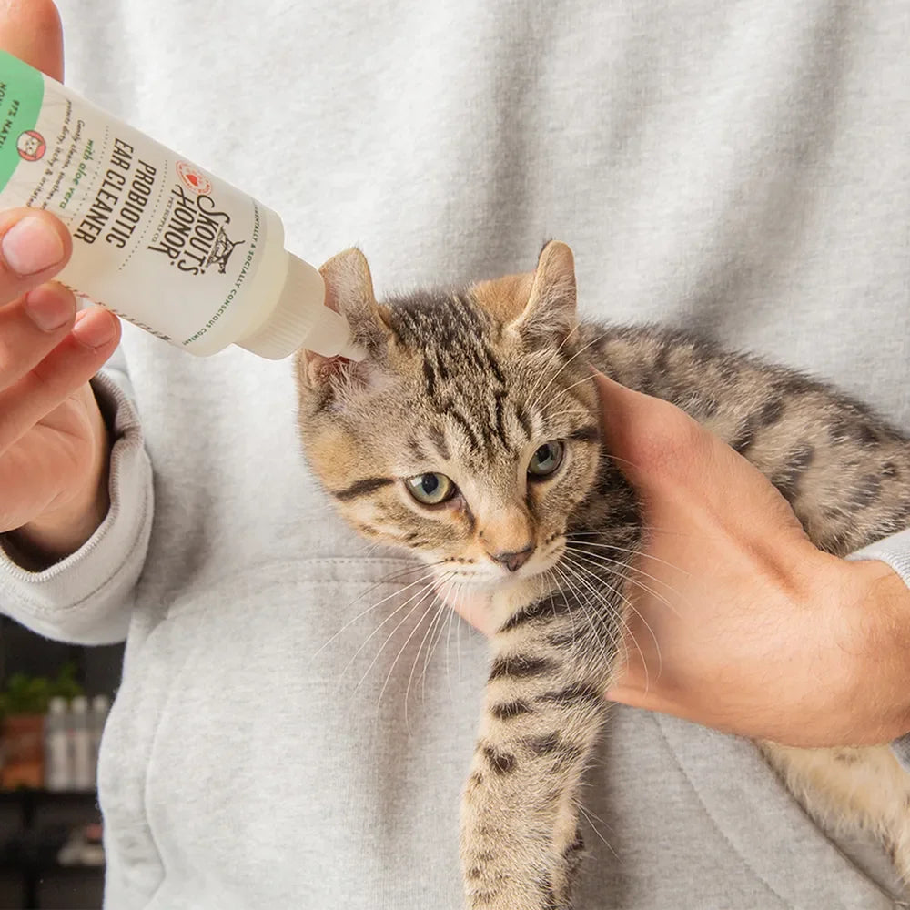 Skout's Honor Probiotic Ear Cleaner