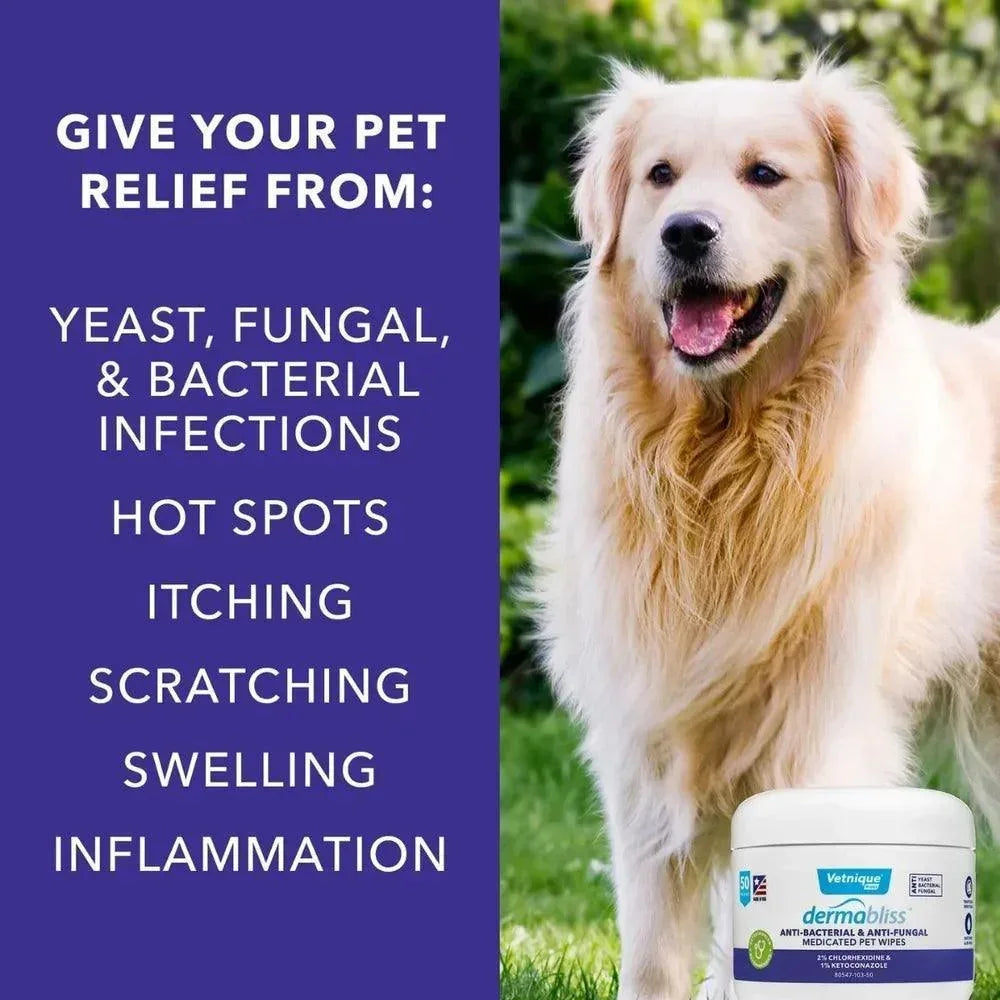 Dermabliss Anti-Bacterial & Anti-Fungal Medicated Pet Wipes - Pet Wipes Vetnique Labs Houlihan Saddlery LLC