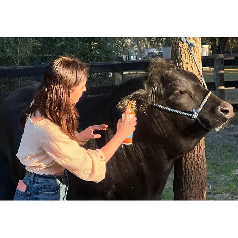 Groom's Hand Derma360 - Houlihan Saddlery LLC