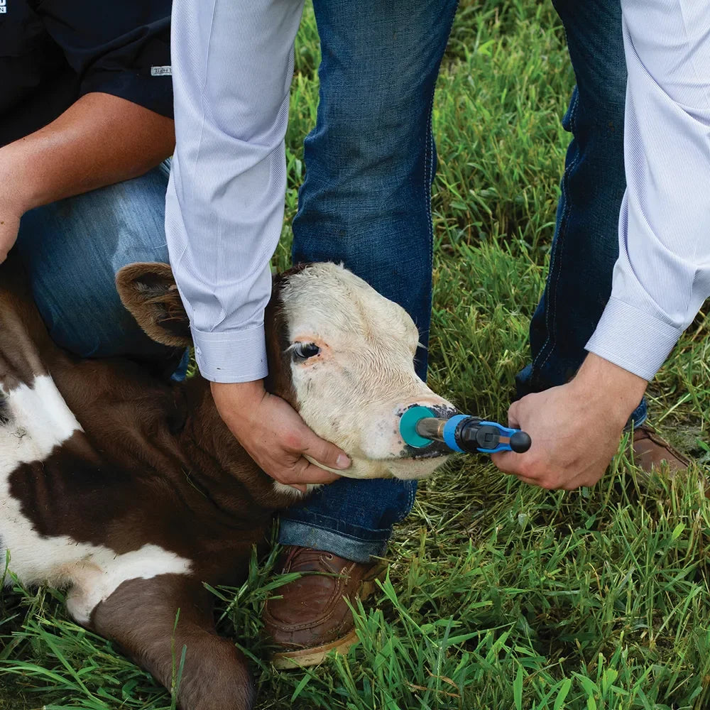 CleanVax Intranasal Nozzles - Houlihan Saddlery LLC