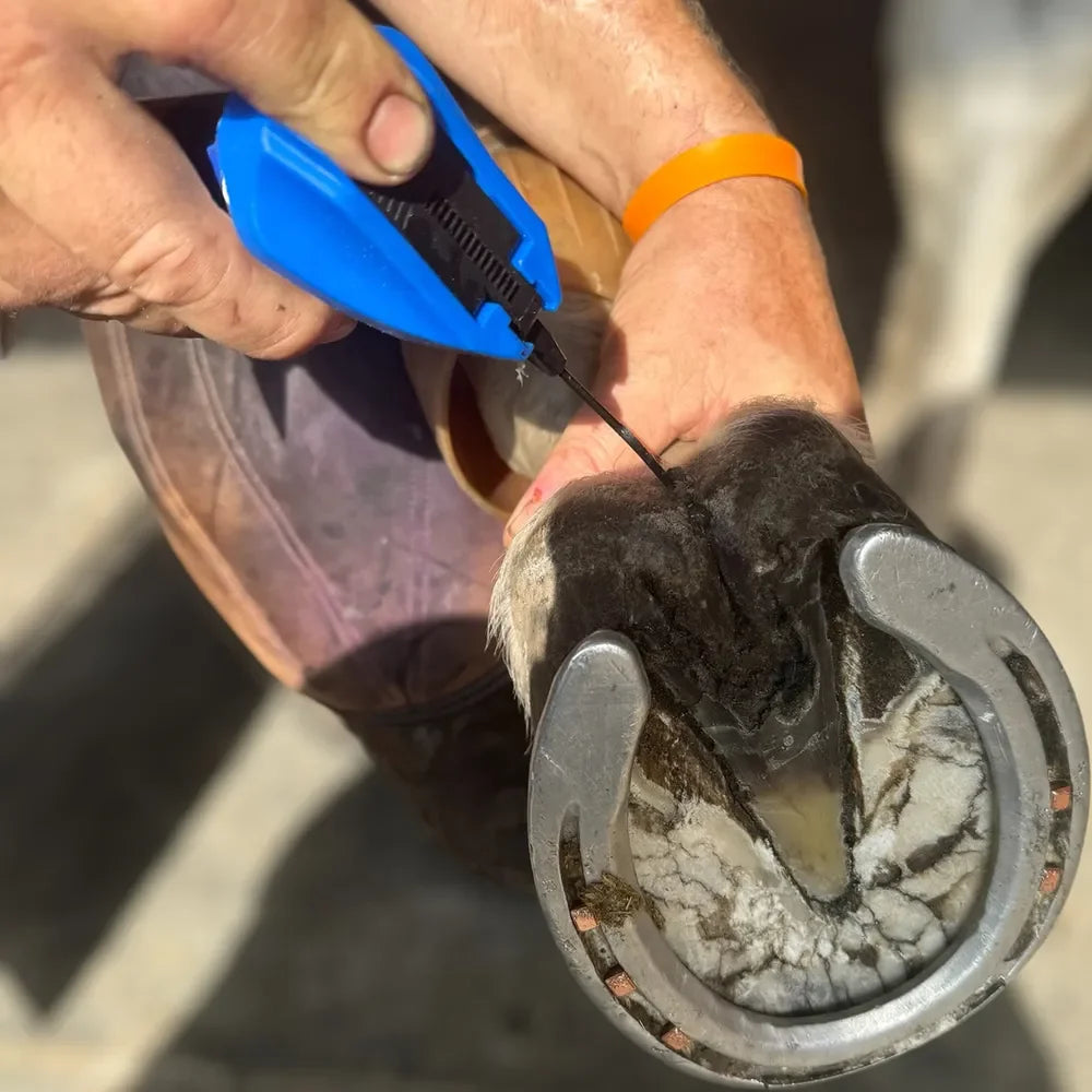 Groom's Hand Deep Thrush Gel - Houlihan Saddlery LLC