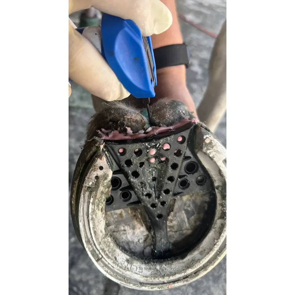 Groom's Hand Deep Thrush Gel - Houlihan Saddlery LLC