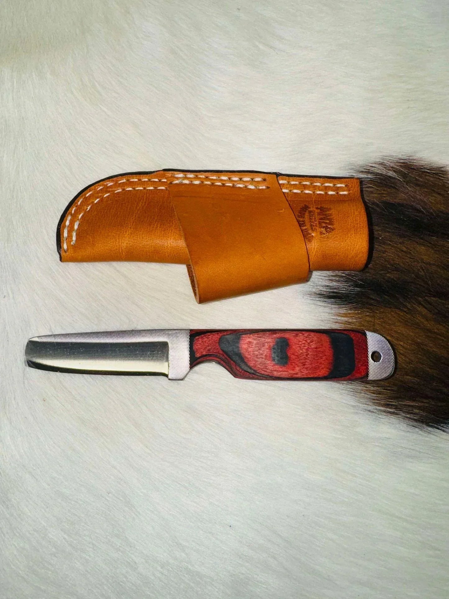 Anza Knives Nute with Walnut Handle - Knives Anza Knives Houlihan Saddlery LLC