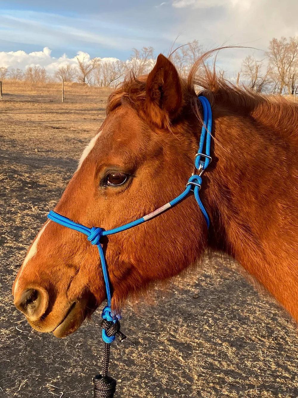 5/16" Firm HOOKIN’ HALTERS®-Size Horse - Houlihan Saddlery LLC