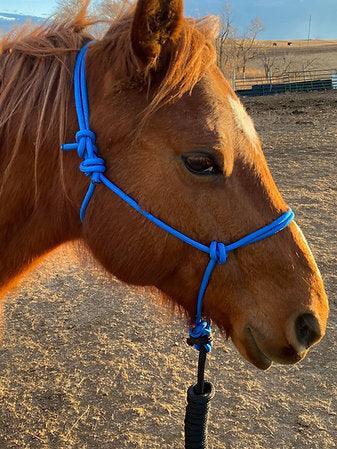 5/16" Firm HOOKIN’ HALTERS®-Size Horse - Houlihan Saddlery LLC