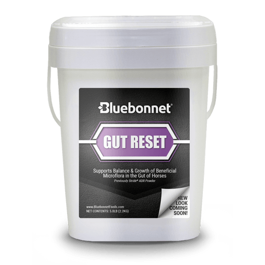 Bluebonnet Gut Reset Powder - Houlihan Saddlery LLC