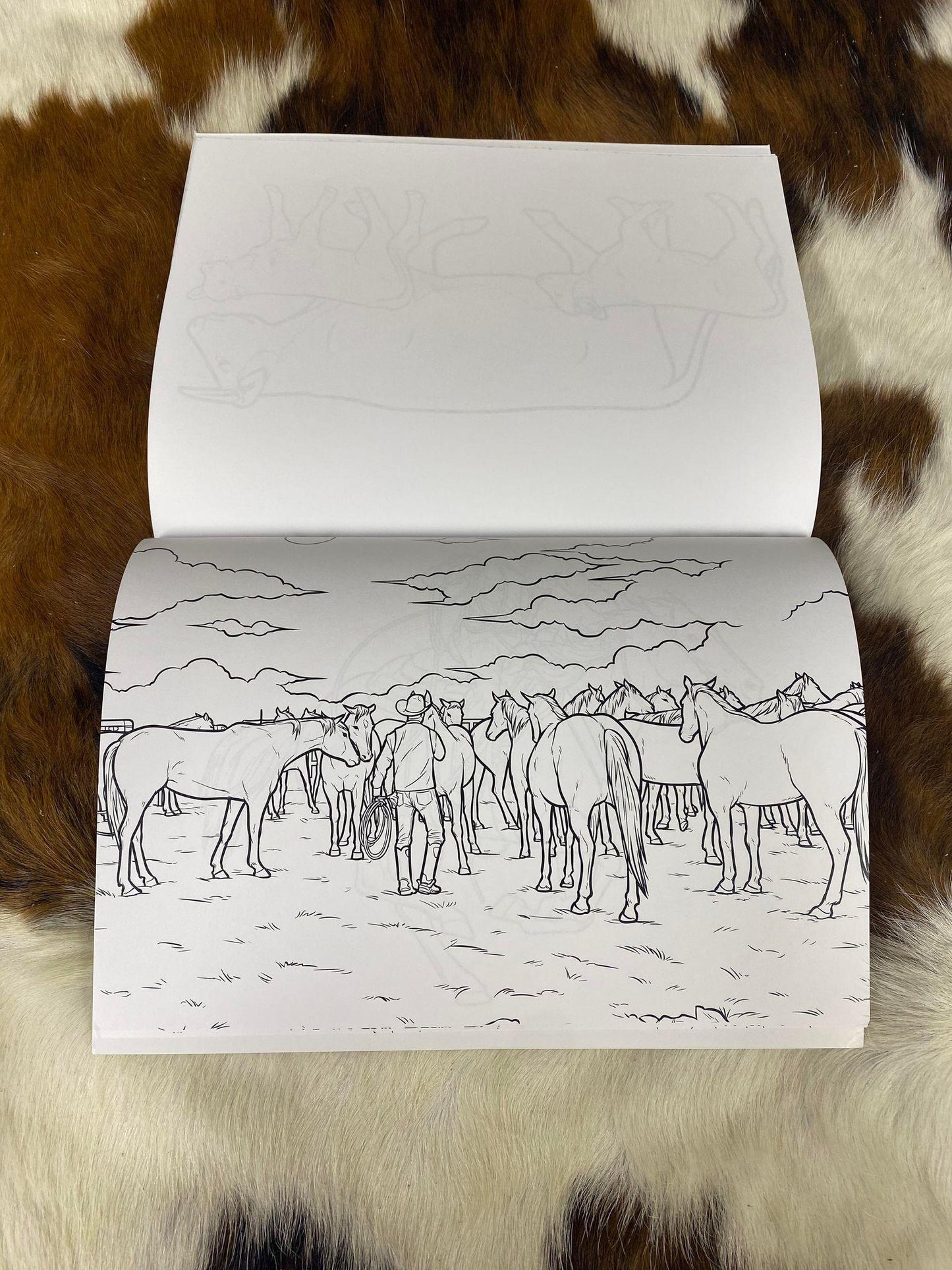 Branding: Just Coloring - Houlihan Saddlery LLC