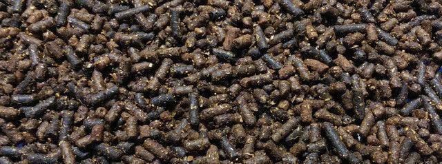 Intensify® Senior Therapy - Houlihan Saddlery LLC