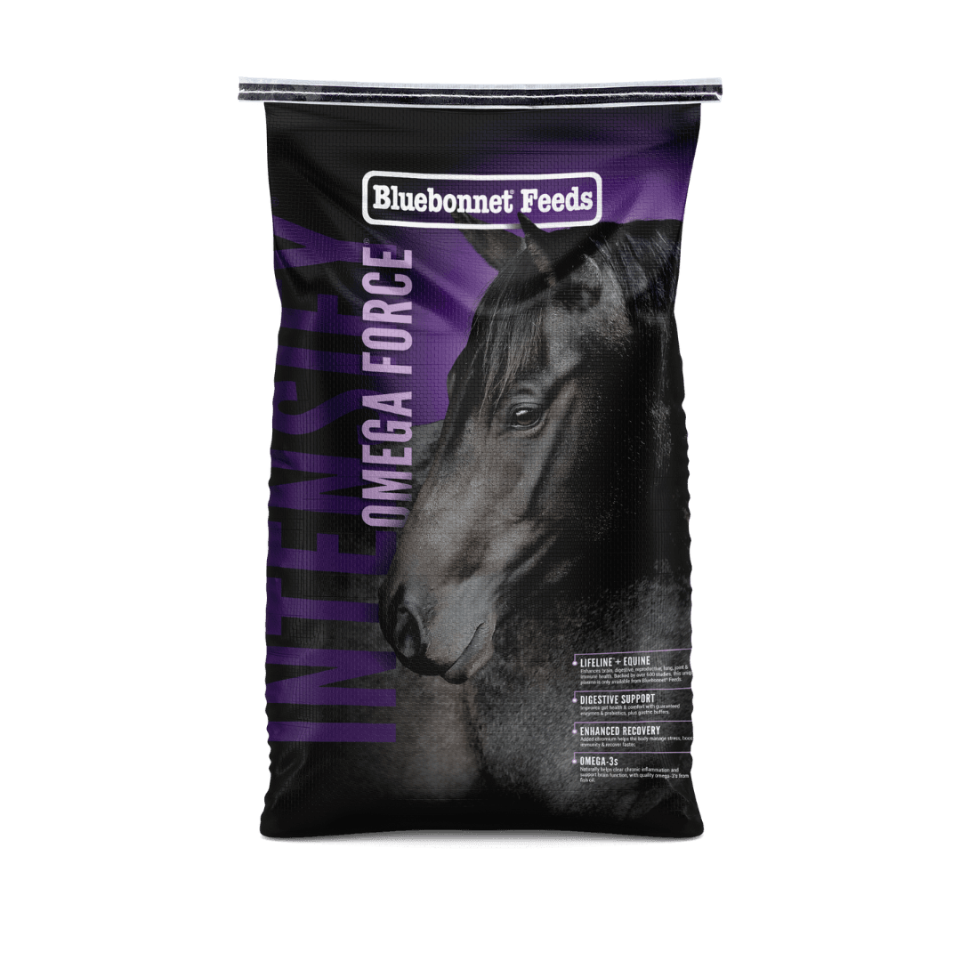 Intensify® Omega Force® - Houlihan Saddlery LLC