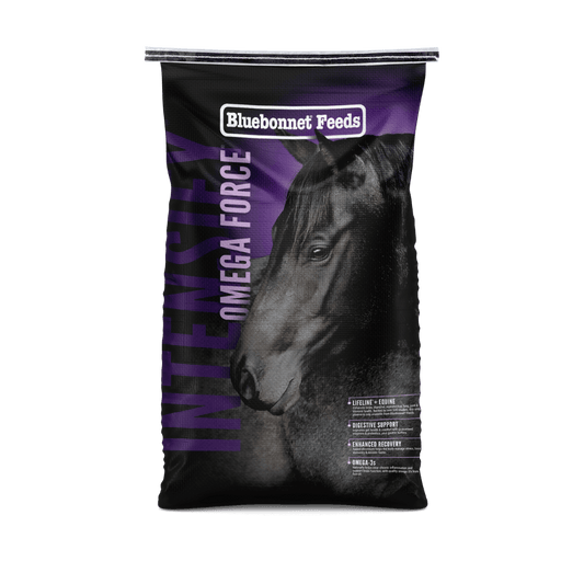 Intensify® Omega Force® - Houlihan Saddlery LLC