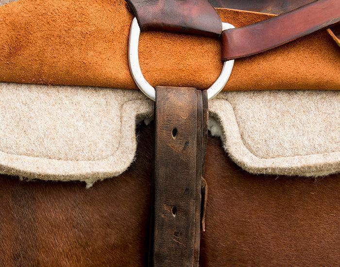 Iconoclast Saddle Pad - Saddle Pads Iconoclast Houlihan Saddlery LLC