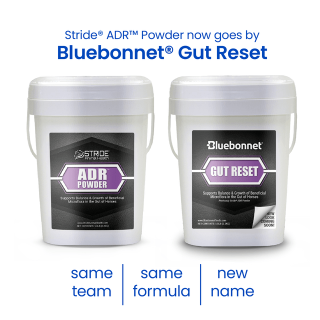 Bluebonnet Gut Reset Powder - Houlihan Saddlery LLC