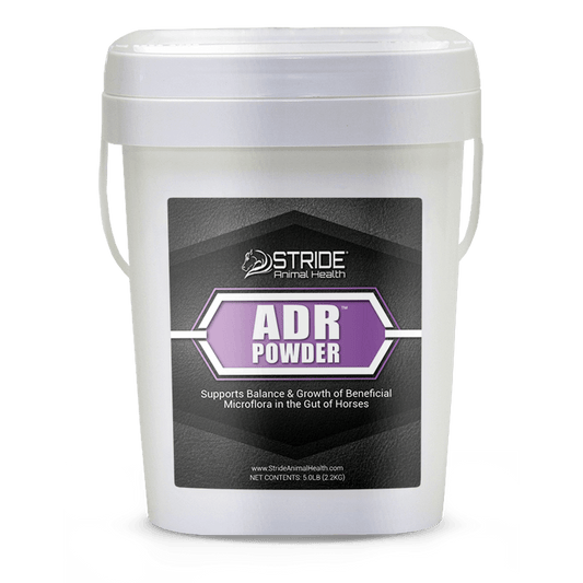 ADR Powder - Houlihan Saddlery LLC