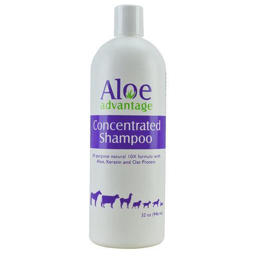 Aloe Advantage Concentrated Shampoo - Houlihan Saddlery LLC