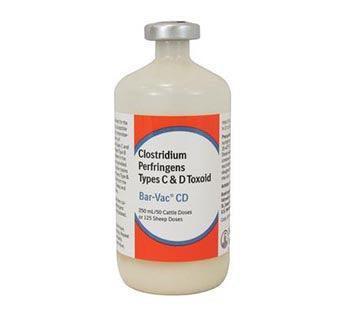 Bar-Vac CD Cattle and Sheep-250 ml - Houlihan Saddlery LLC