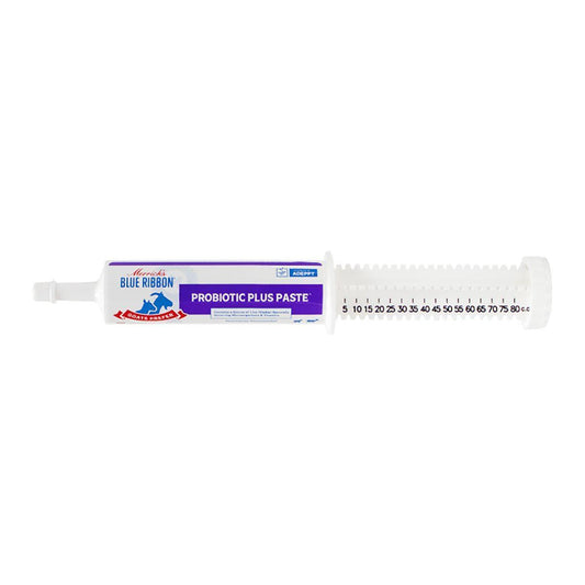 Blue Ribbon Goats Prefer Probiotic Plus Paste - Houlihan Saddlery LLC