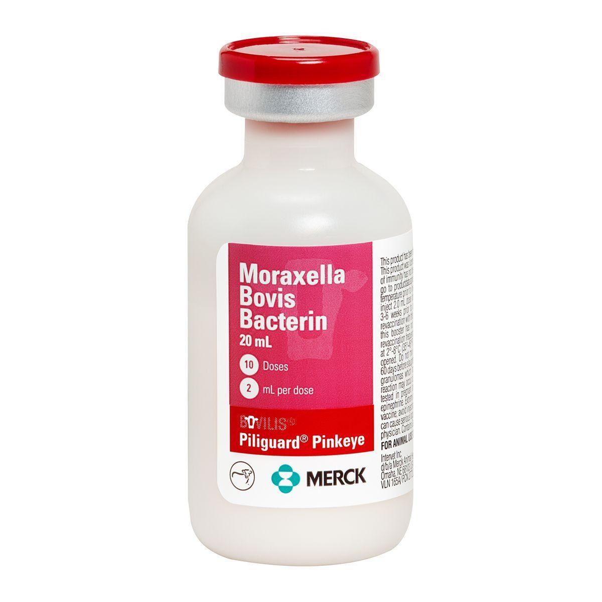 Bovilis Piliguard Pinkeye - Houlihan Saddlery LLC