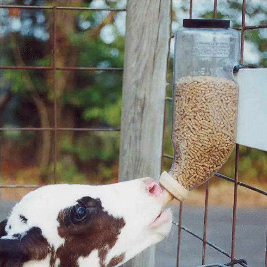 Braden Dry Start Feed Bottle - Houlihan Saddlery LLC