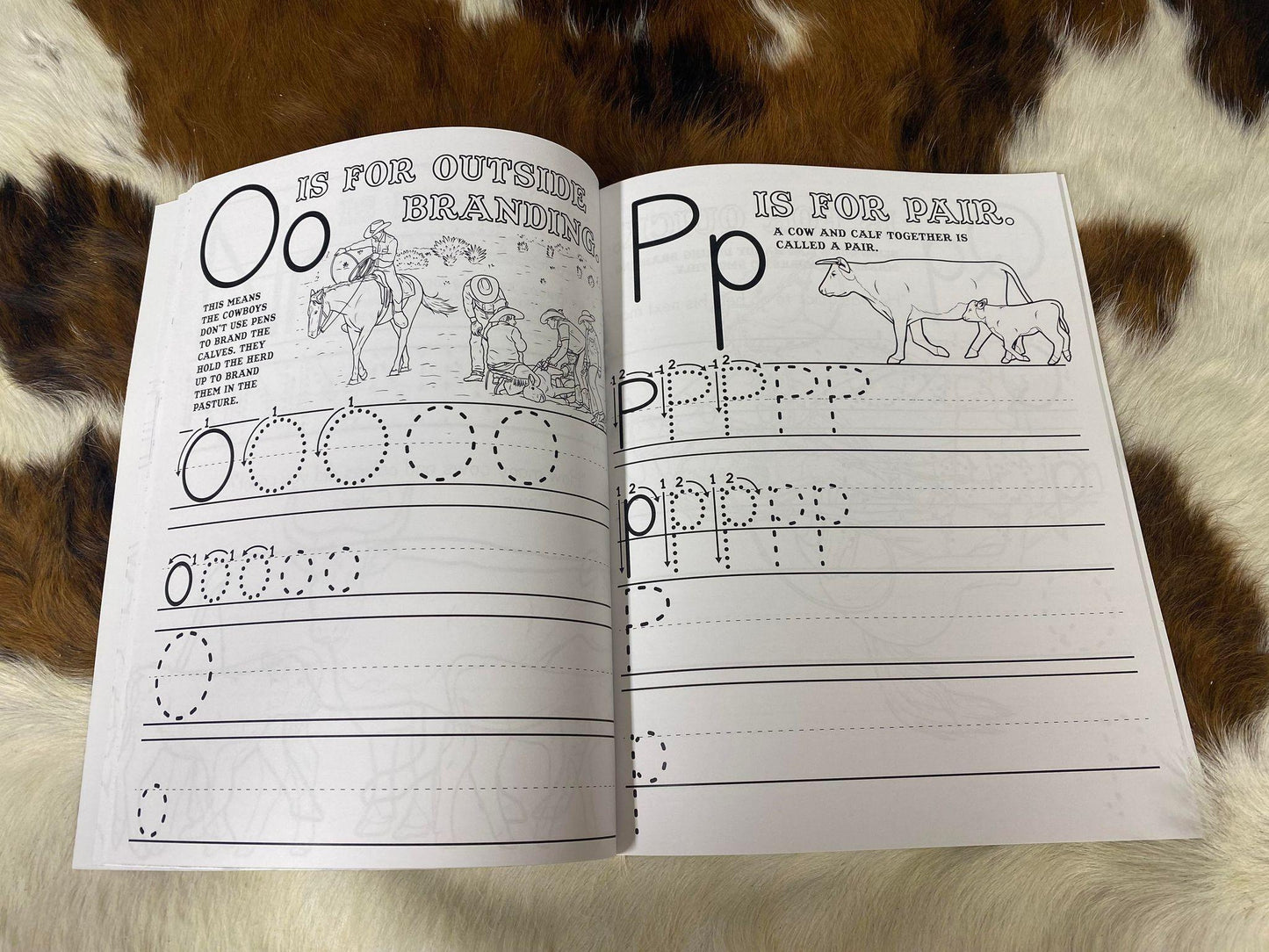 Branding: Pre-K & Kindergarten ABC Workbook - Houlihan Saddlery LLC