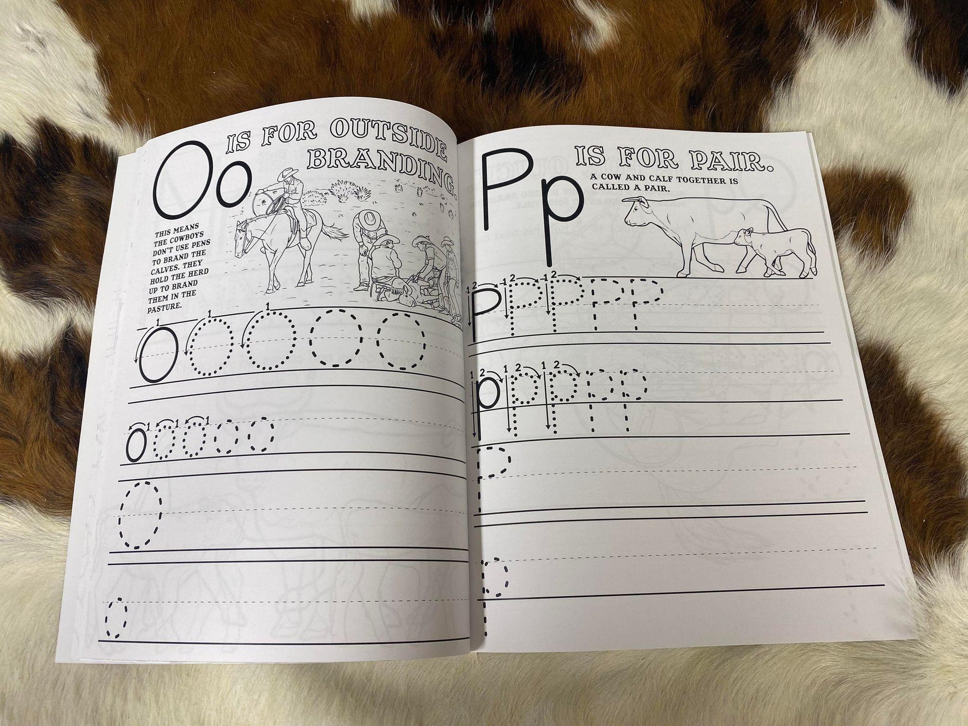 Branding: Pre-K & Kindergarten ABC Workbook - Houlihan Saddlery LLC