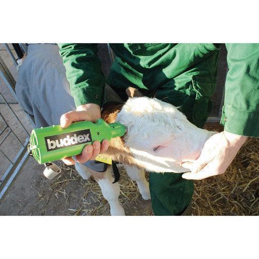 Buddex Cordless Dehorner - Houlihan Saddlery LLC