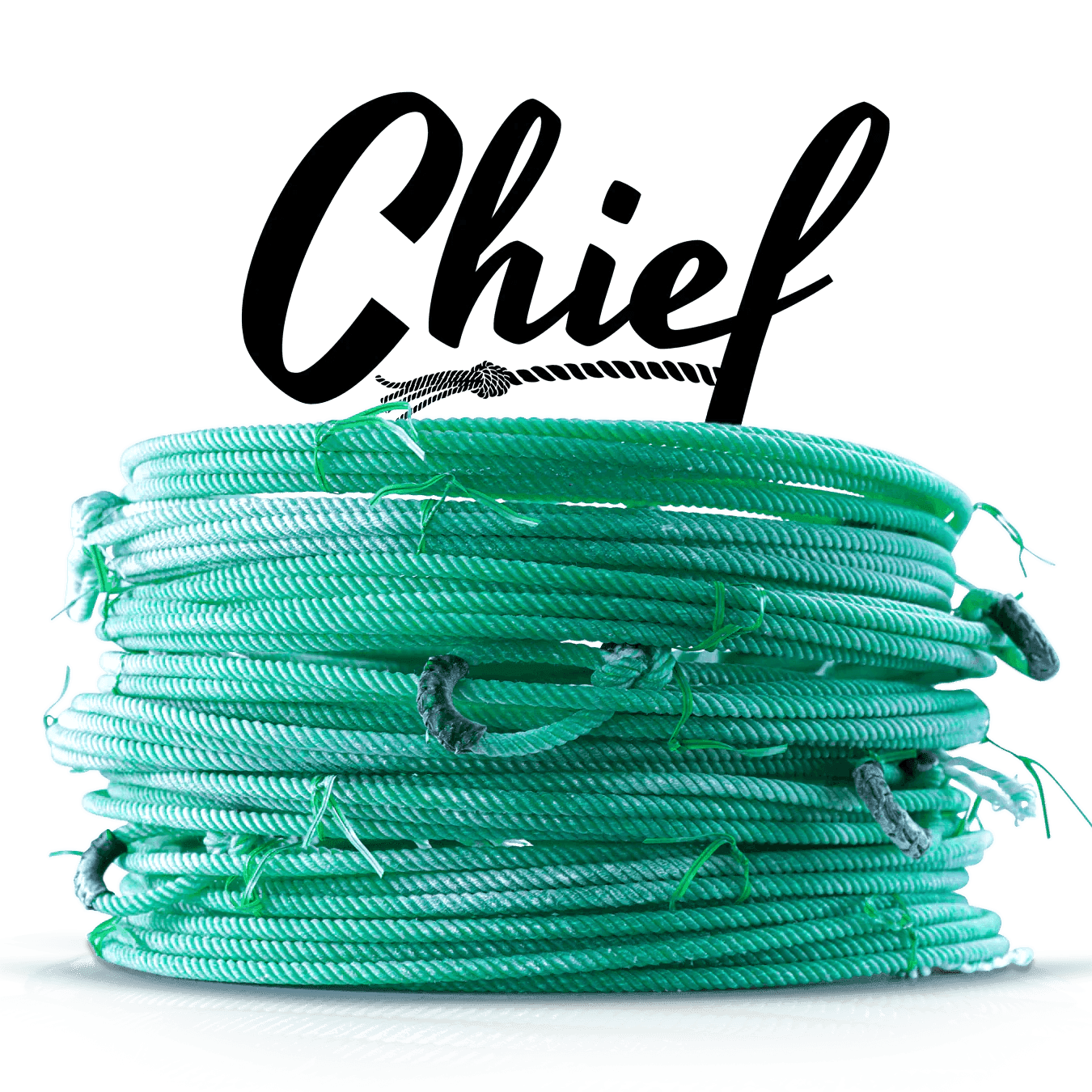 Chief - Houlihan Saddlery LLC