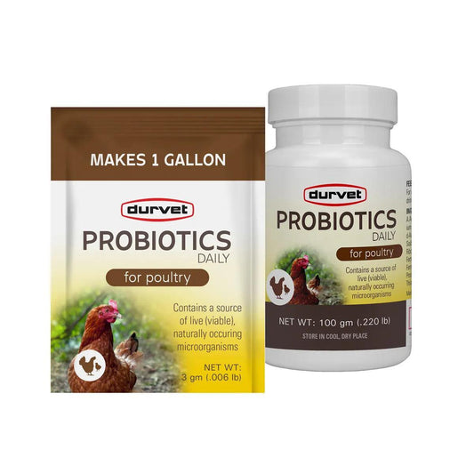 Durvet Probiotics Daily Poultry Supplement - Houlihan Saddlery LLC