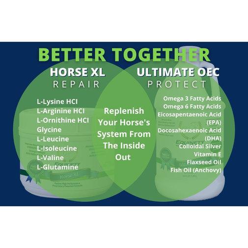 Equinety Horse XL - Houlihan Saddlery LLC