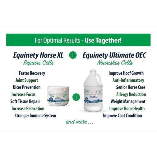 Equinety Ultimate OEC - Houlihan Saddlery LLC