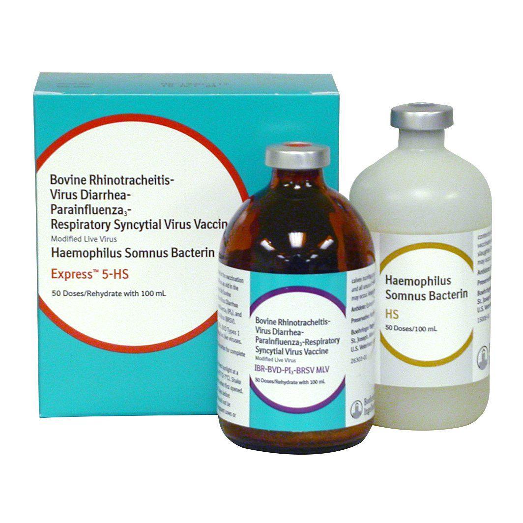 Express 5-HS - Houlihan Saddlery LLC