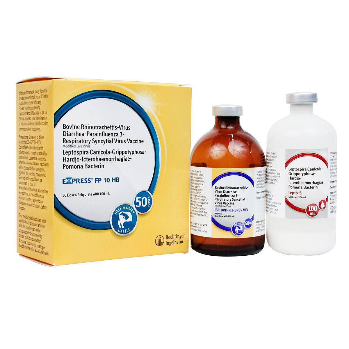 Express FP 10 HB - Houlihan Saddlery LLC